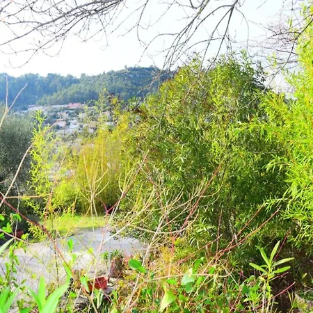 Villa With Swimming Pool, Only 1 Km From Sea Cavalaire-sur-Mer